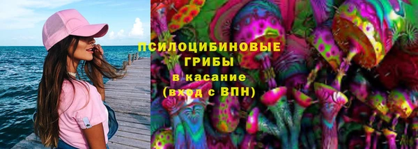 шишки Алексеевка