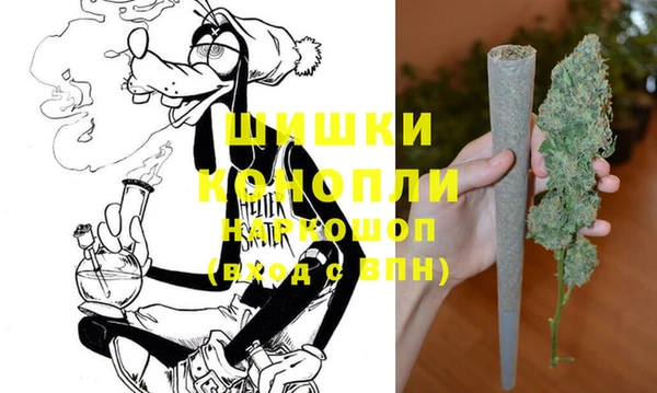 шишки Алексеевка