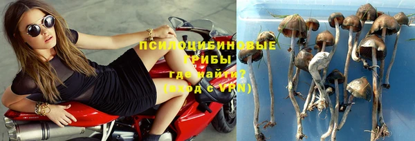 шишки Алексеевка
