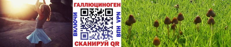 Псилоцибиновые грибы MAGIC MUSHROOMS  Ликино-Дулёво 